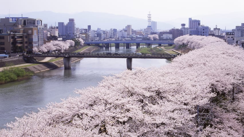 Tsukumo fukui